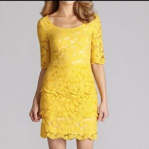 Dress Yellow Antonio Melani S M Lace Wiggle Frock Jewel Tone Marigold Daffodil